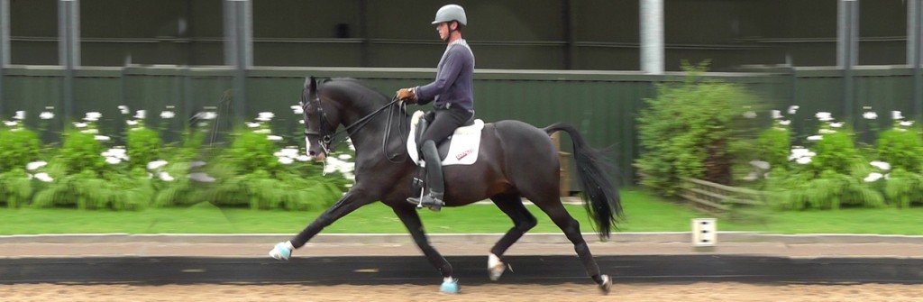 Carl Hester Riding Arena Surface