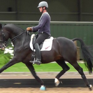 Carl Hester Riding Arena Surface