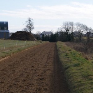 Gallop surface by Leisure Ride