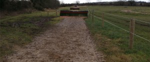 gallop surface before