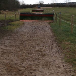 gallop surface before