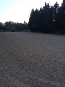 rewax waxed riding arena surface